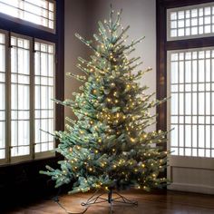 a white christmas tree with lights in an empty room