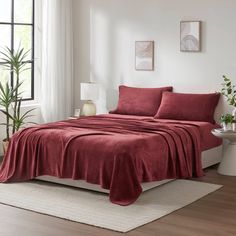 a bed with red sheets and pillows in a white room next to a plant on the floor