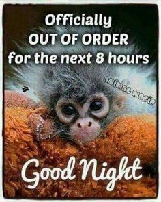 a monkey with the words good night on it's back and an image of a baby