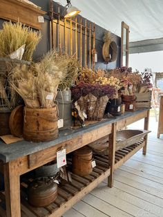 an assortment of dried plants on display at a farmers market