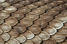 a close up view of the scales of a snake's skin, which is brown and white