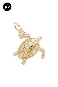 14K Yellow Gold Sea Turtle Charm. Measures approximately 17.83mm x 17.01mm 2.87g Yellow Pearl, Necklace Extender, Turtle Charm, Yellow Gemstones, Mixed Metal Jewelry, Floral Jewellery, Cross Jewelry, Pearl Color, Diamond Bracelets