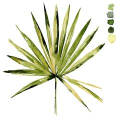 a painting of a palm leaf on a white background with green and yellow colors in the center