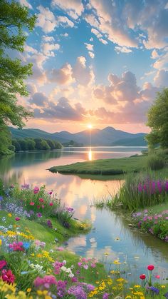 the sun is setting over a lake with wildflowers and flowers in bloom on the shore