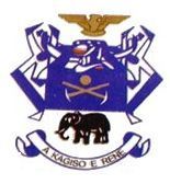 the emblem of kagoso e ferrete is shown in blue and gold