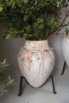 two vases with plants in them sitting on a shelf next to each other,