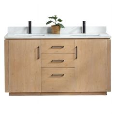 a bathroom vanity with two sinks and a potted plant