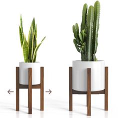 two potted plants sitting next to each other on top of wooden stand with arrows pointing in opposite directions