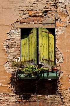 an open window with green shutters and potted plants