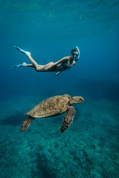 Girl swims next to sea turtle in hawaii waters with snorkel on. Free diving hawaii with sea turtles Snorkeling Pictures, Shotting Photo, Ocean Vibes, A Turtle, Marine Biology, Ocean Lover, Sea Turtles, Summer Dream, Underwater Photography