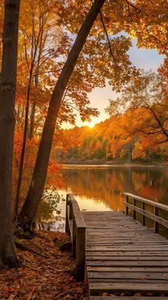 a wooden dock sitting next to a forest filled with trees covered in fall leaves and foliage