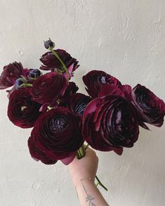 a hand holding a bouquet of purple flowers