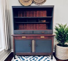 a blue cabinet with two doors and some plants