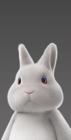 a white rabbit with big blue eyes sitting in front of a gray background and looking at the camera