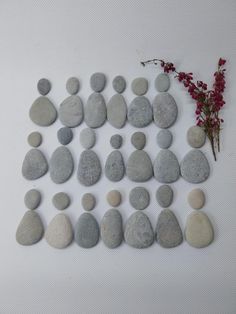 some rocks and flowers on a white surface with one small red flower in the middle