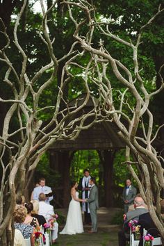 a couple getting married under an arch made out of branches