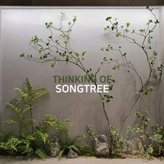 there is a sign that says thinkin of songtree in front of some plants