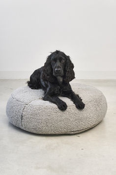 a black dog laying on top of a round bed