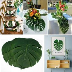 a collage of photos with plants and plates