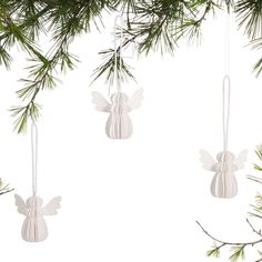 three white angel ornaments hanging from a pine tree branch on a white background with space for text