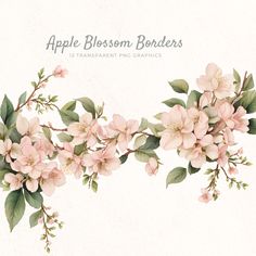 an apple blossom border with leaves and flowers