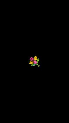 an image of a flower that is in the dark