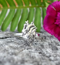 Anatomical Heart Ring Sterling Silver Heart Realistic Heart - Etsy Heart Realistic, Realistic Heart, Moon Phase Jewelry, Moon Phase Ring, Heart Rings, Heart Themed, Silver Heart Ring, Nurse Doctor, Anatomical Heart