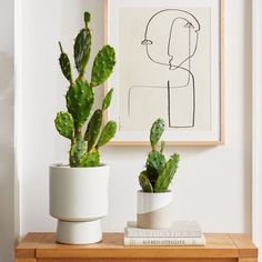 two potted plants sitting on top of a wooden table next to a framed drawing