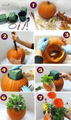 instructions to make a pumpkin planter