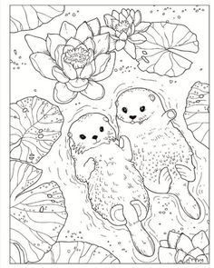 two otters in the water surrounded by lily pads and flowers coloring page for adults