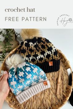 the crochet hat is free pattern and it has two pom poms