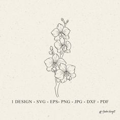 a drawing of some flowers on a white background with the words, i design svg - epsp - png - dxf - dxf