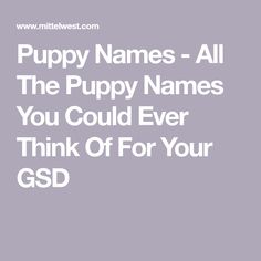 the words puppy names all the puppy names you could ever think of for your gds