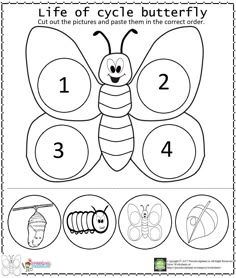 the life cycle of a butterfly worksheet for kids to learn how to draw