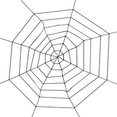 the inside of a spider web is shown in black and white, with lines running through it