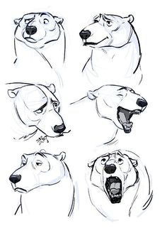 some drawings of polar bears with their mouths open and mouth wide, showing the various stages of