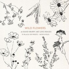 wildflowers drawn by hand and ink in black and white, with the words wildflowers written on it