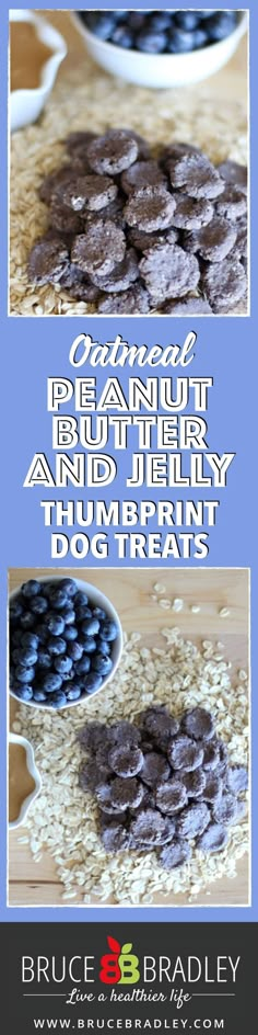 blueberries and oatmeal dog treats on a wooden table with the title