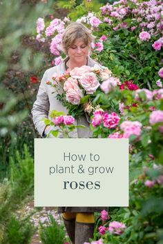 a woman walking through flowers with the words how to plant and grow roses