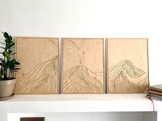 three pieces of wood sitting on top of a shelf next to a potted plant