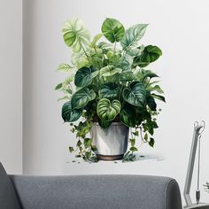 a potted plant sitting on top of a gray couch next to a white wall