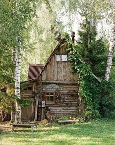 an old log cabin with ivy growing on the roof and door, surrounded by birch trees