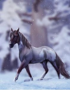 a horse that is standing in the snow