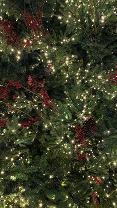 a large christmas tree with lights on it's branches and red berries in the center