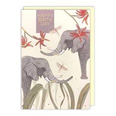 Lively Elephant Birthday Card Cute Greeting Card Pink Ink Elephant Cards, Elephant Birthday Card, Beautiful Elephant, Elephant Birthday, Card Tattoo, Elephant Love, Personal Message, Special Day, Greeting Card