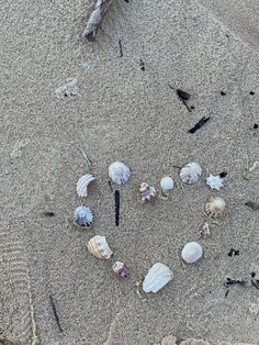 several seashells are arranged in the shape of a heart on a sandy beach