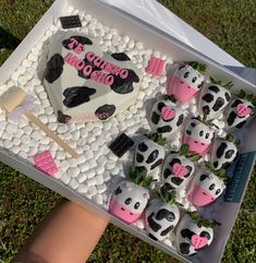 cow Cow Breakable Heart, What To Put In Breakable Heart, Breakable Heart For Him Birthday, Cow Heart Cake, Cow Cakesicles, Valentine Breakable Heart Ideas, Chocolate Strawberry Box Ideas, Breakable Chocolate Heart Ideas Birthday, Chocolate Covered Valentines Treats