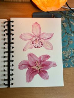 a drawing of two pink flowers on top of a table