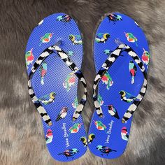 Adorable Brand New Never Worn Vera Bradley Flip Flops, Thick Rubber Thongs Size 7/8. Beautiful Tropical Bird Design Perfect For Vacay ! Casual Blue Flip Flops For Summer, Casual Blue Flip Flops For The Beach, Casual Blue Flip Flops, Casual Flip Flops For Day Out, Trendy Blue Flip Flops For Beach Season, Trendy Blue Flip Flops For Spring, Casual Flip Flops For Beach Season Day Out, Casual Flip Flops For Beach Day Out, Blue Flip Flops For Spring Vacation