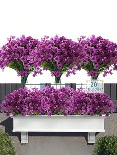 purple flowers are growing in a white planter